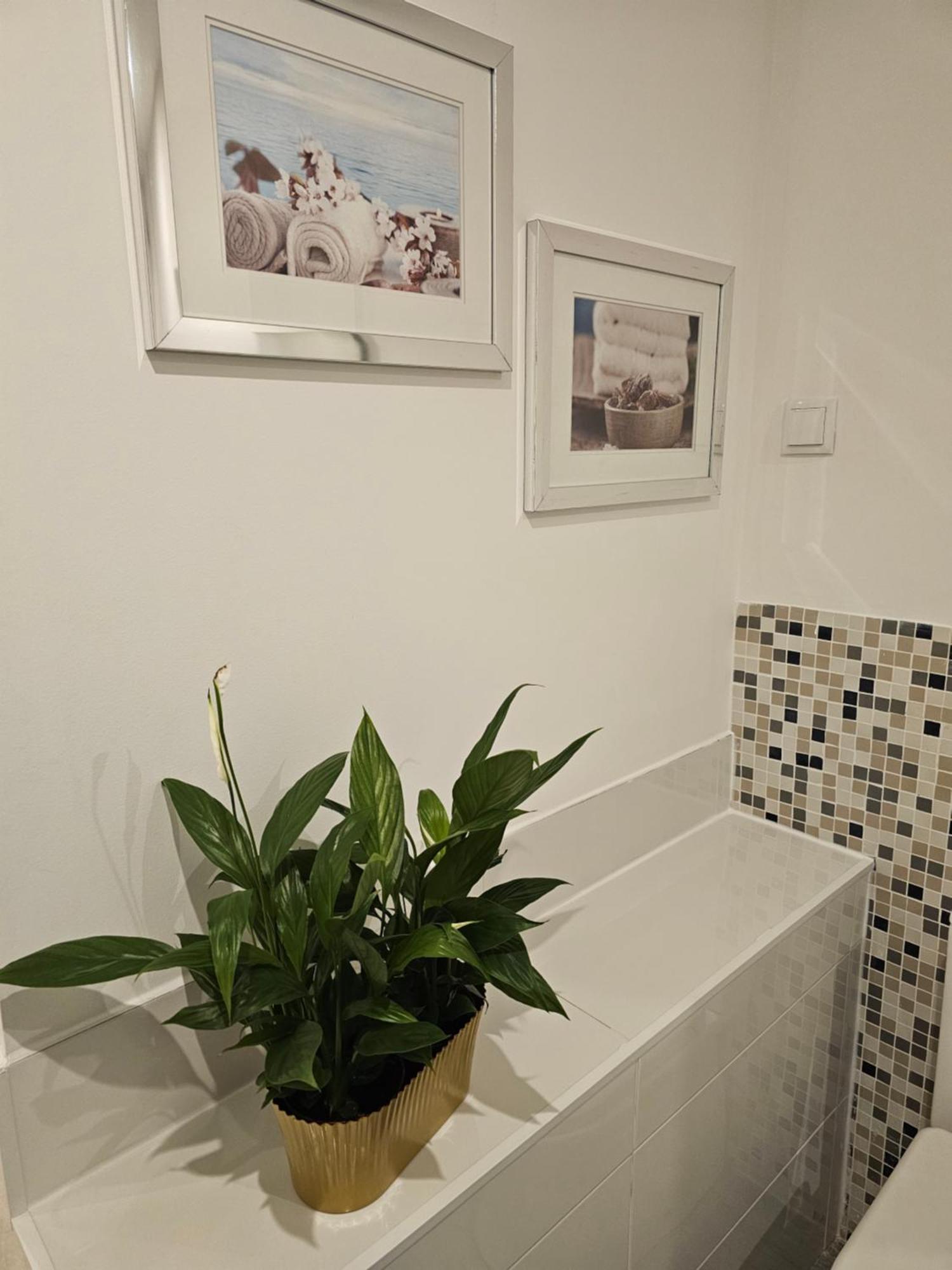 Alfama Secret Daire Lisboa Dış mekan fotoğraf